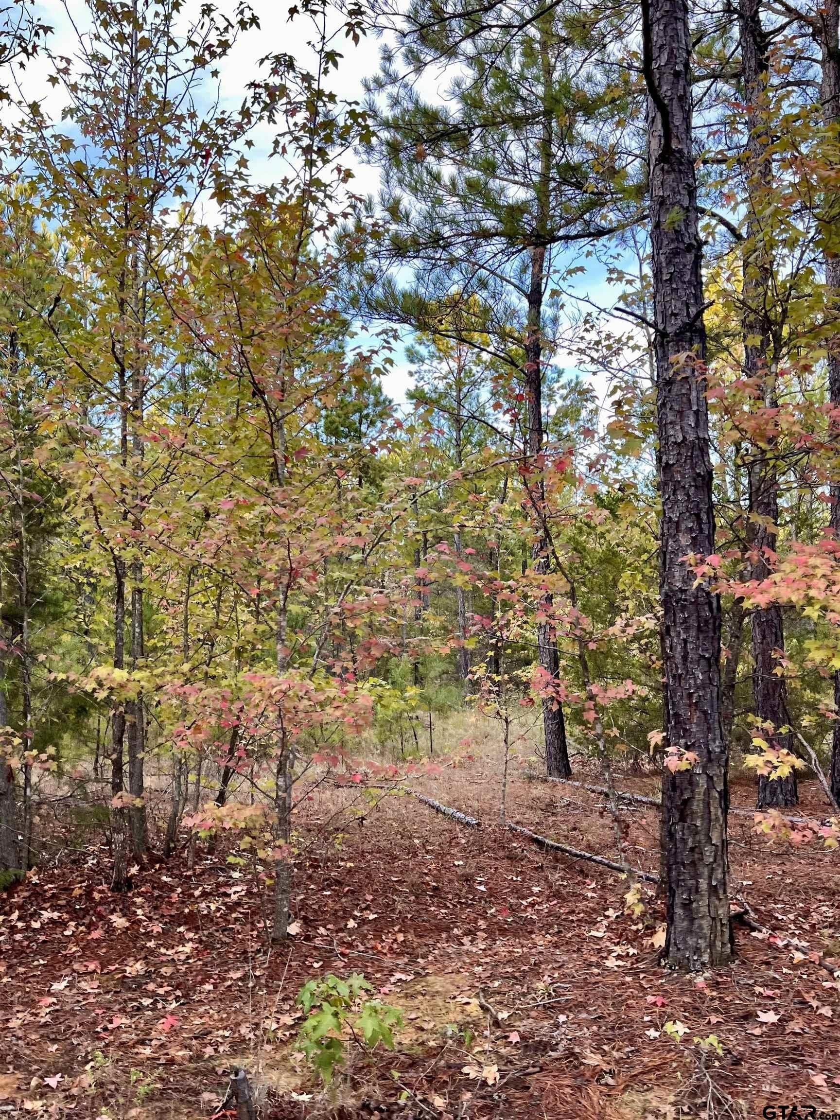 200.21 acres in Cass County - photo 19