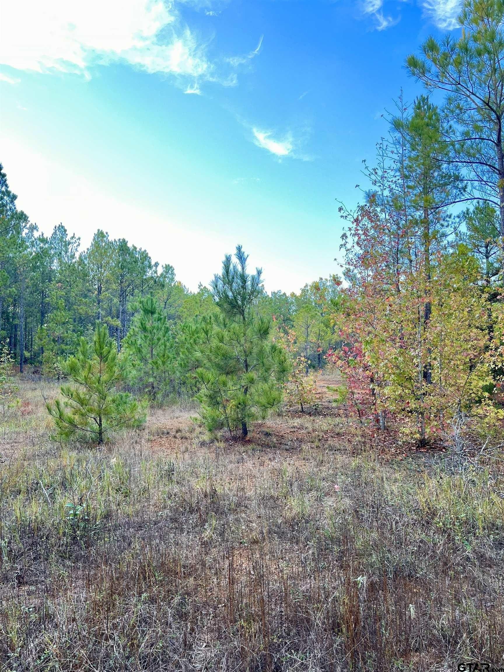 200.21 acres in Cass County - photo 11