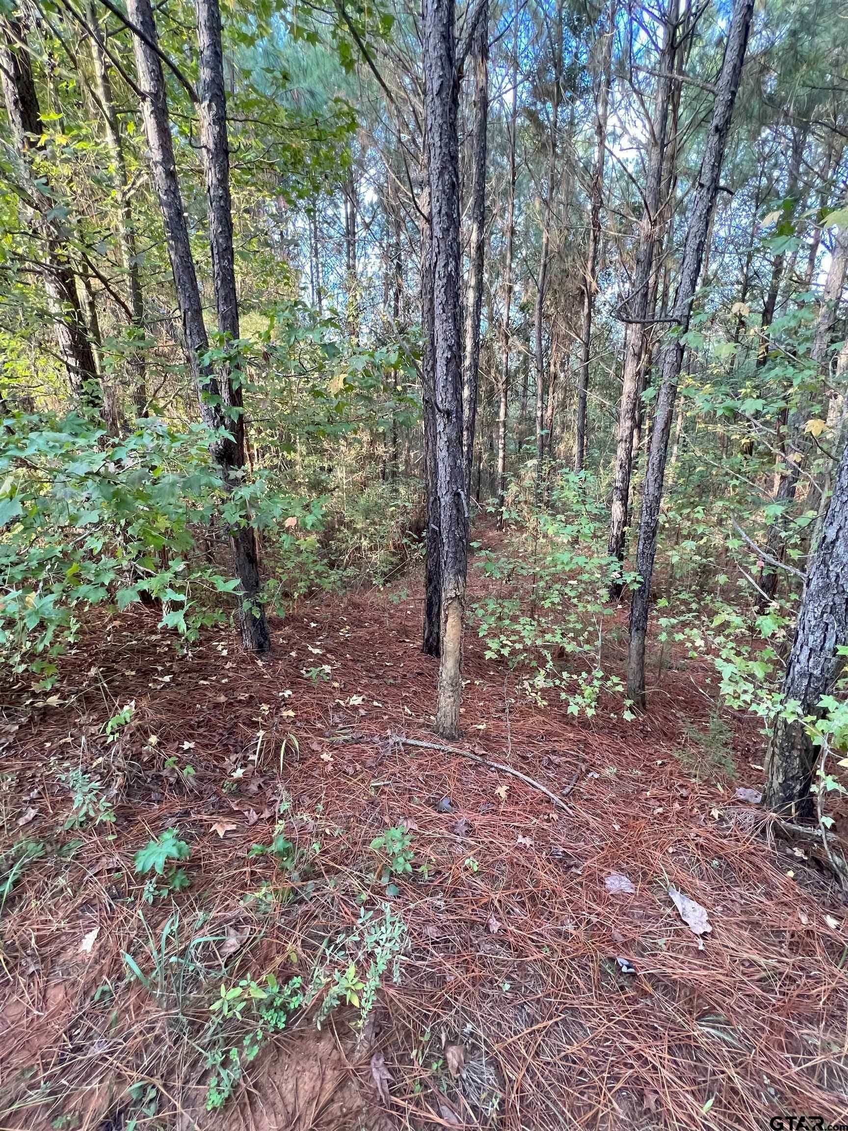 200.21 acres in Cass County - photo 23
