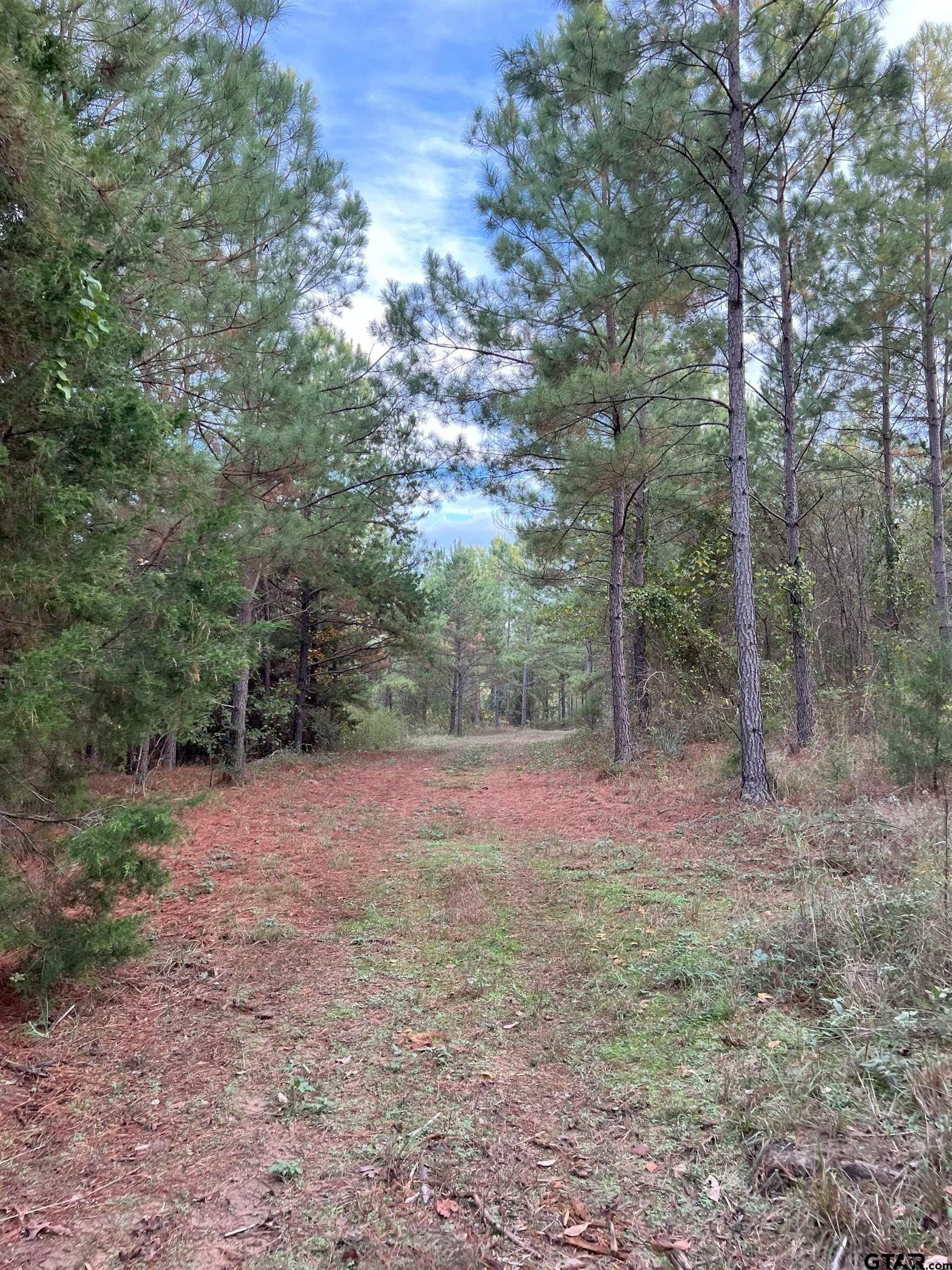 200.21 acres in Cass County - photo 28