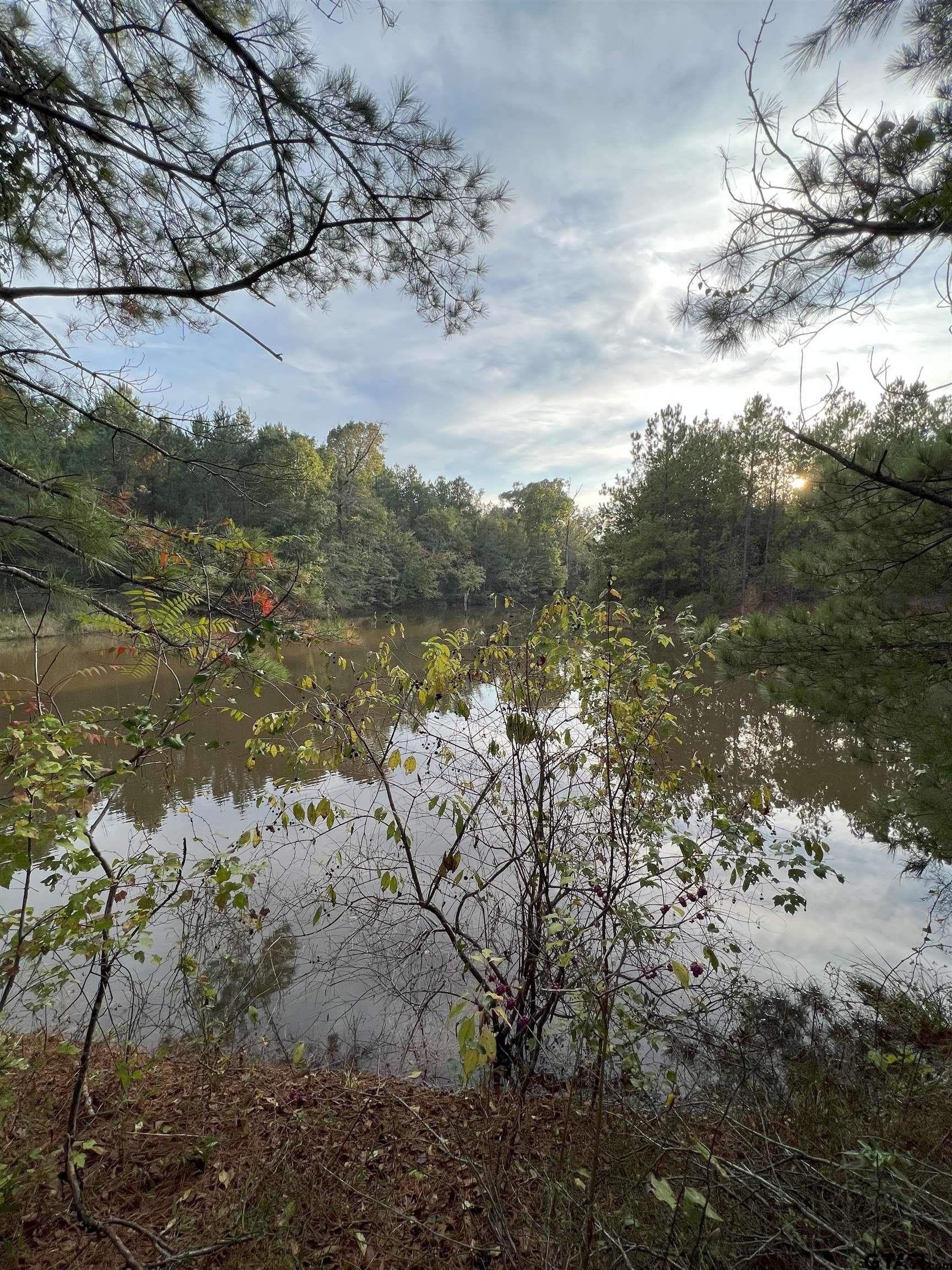 200.21 acres in Cass County - photo 25