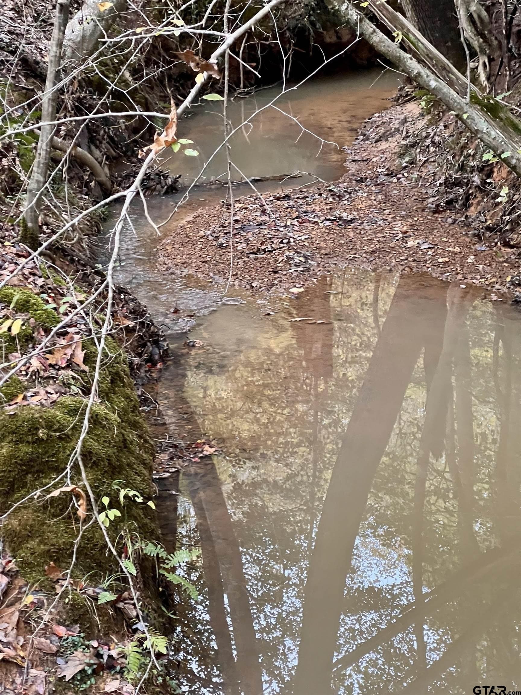 200.21 acres in Cass County - photo 16
