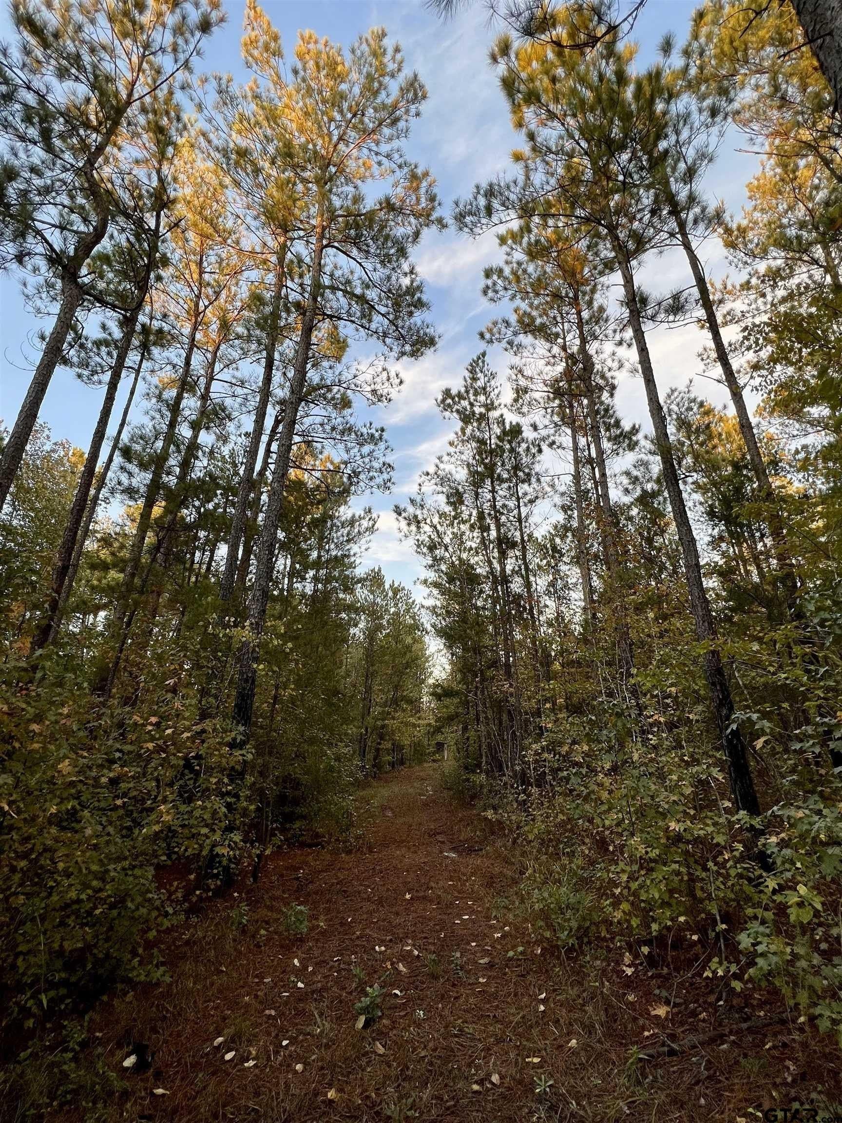 200.21 acres in Cass County - photo 4
