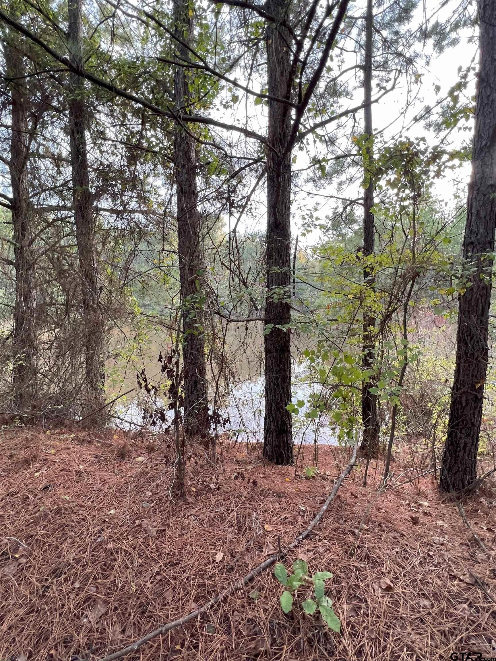 200.21 acres in Cass County - photo 27