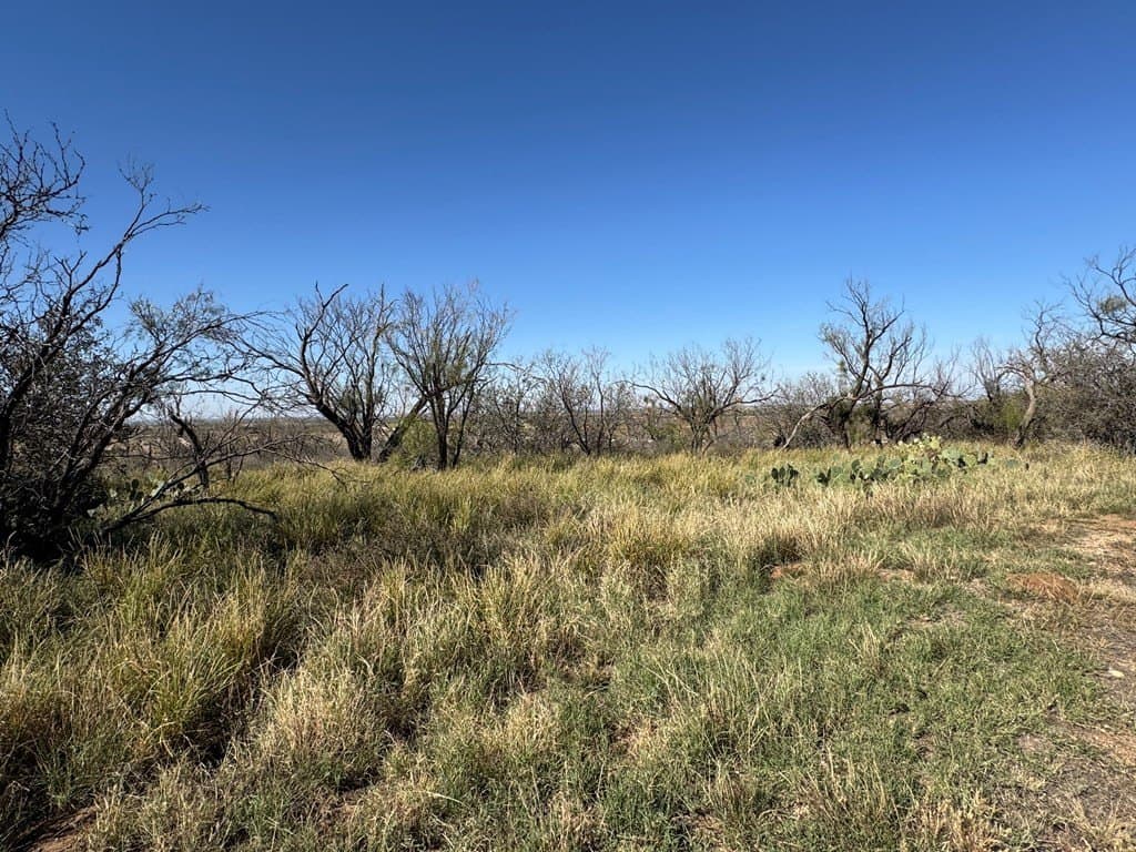 157.06 acres in Mitchell County - photo 4