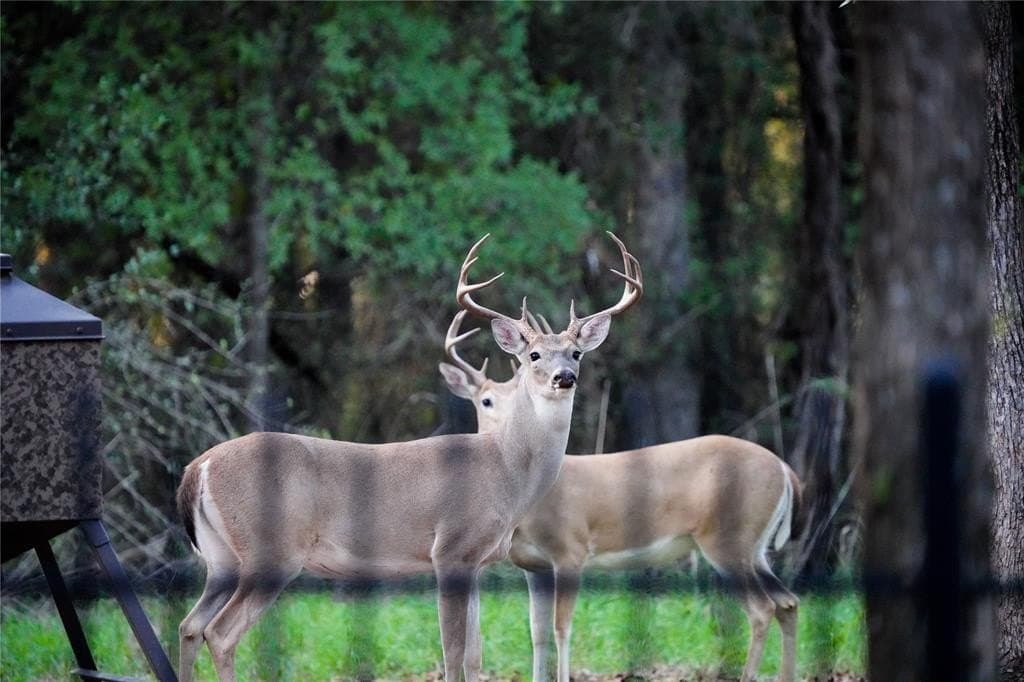 22.59 acres in Johnson County - photo 40