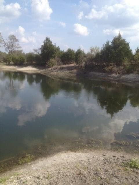 44 acres in Collin County - photo 3