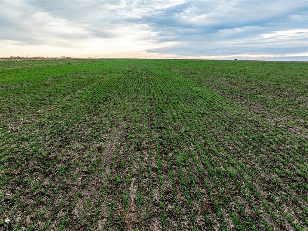 23.94 acres in Haskell County - photo 2