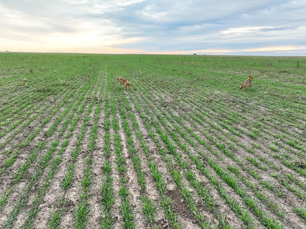 23.94 acres in Haskell County - photo 3