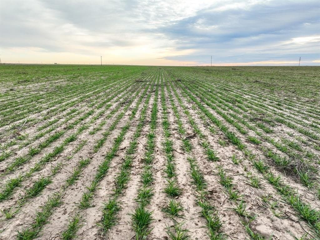 23.94 acres in Haskell County - photo 14