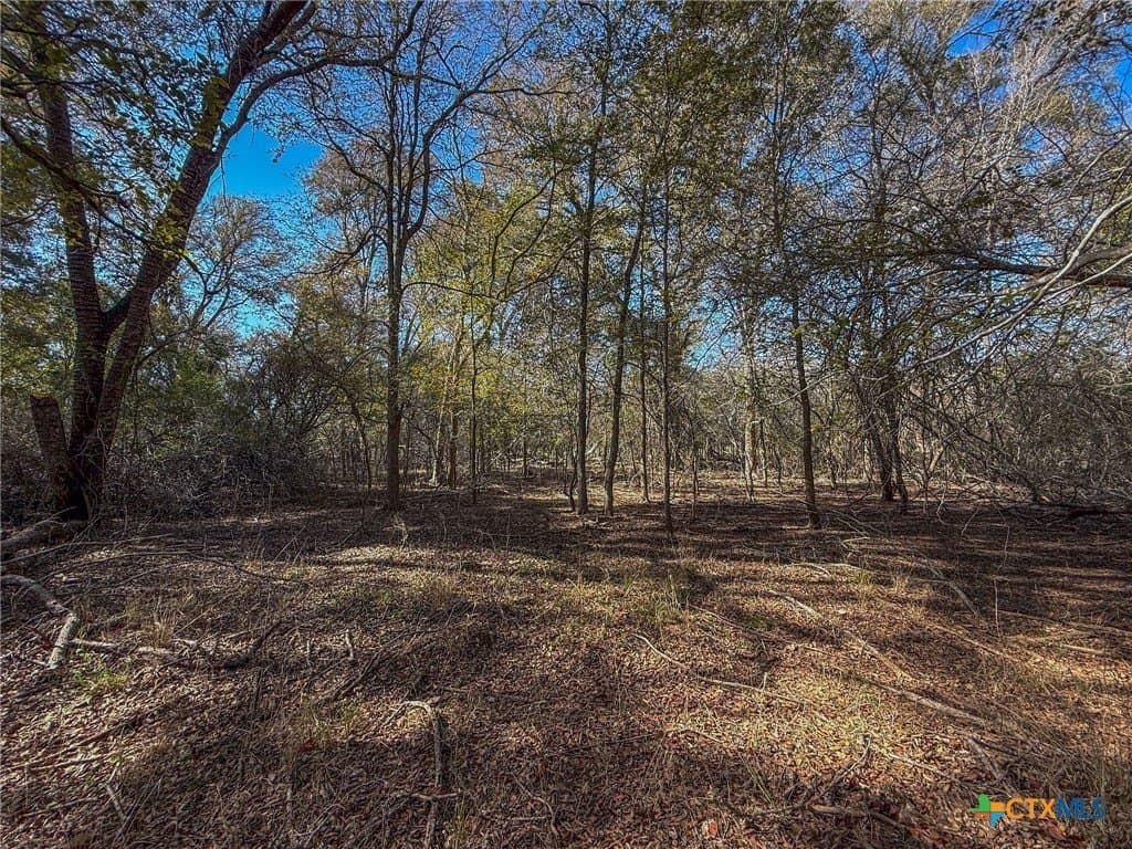 18.55 acres in Guadalupe County - photo 2