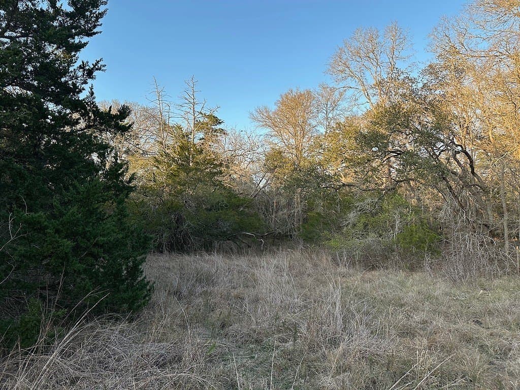 3.1 acres in Fayette County - photo 8