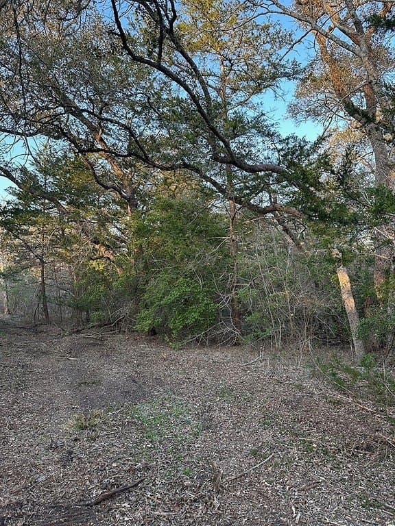 3.1 acres in Fayette County - photo 7