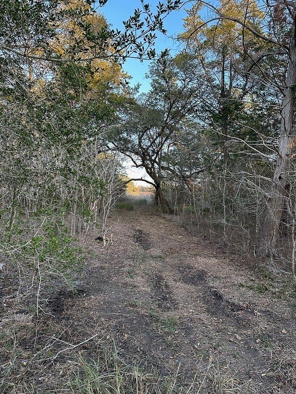3.1 acres in Fayette County - photo 5