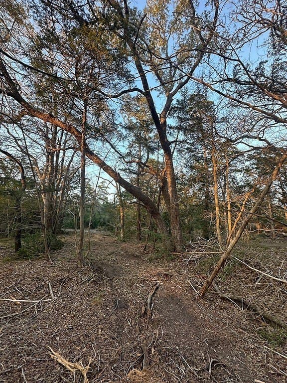 3.1 acres in Fayette County - photo 13