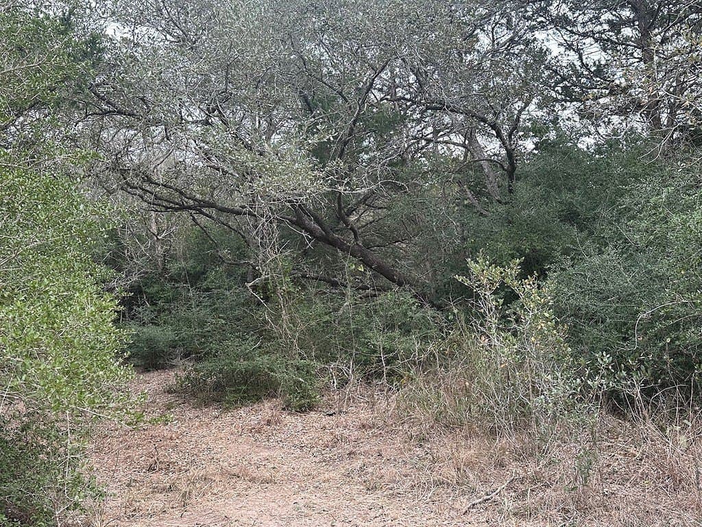 3.1 acres in Fayette County - photo 14