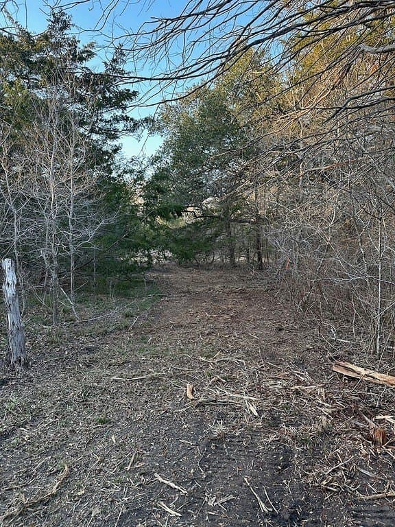 3.1 acres in Fayette County - photo 6
