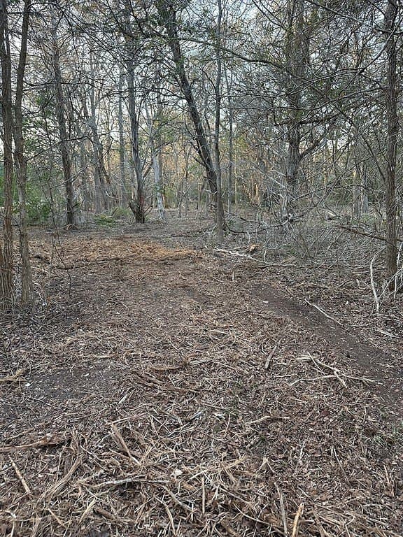 3.1 acres in Fayette County - photo 10