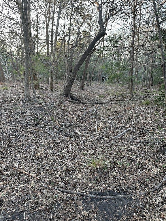 3.1 acres in Fayette County - photo 11