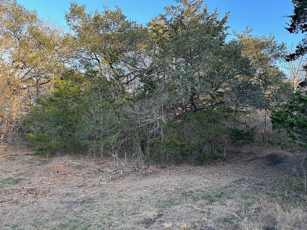 3.1 acres in Fayette County - photo 4