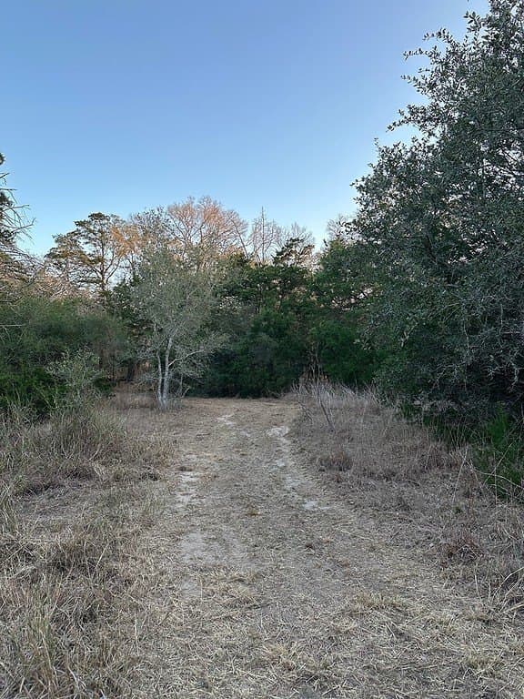3.1 acres in Fayette County - photo 3