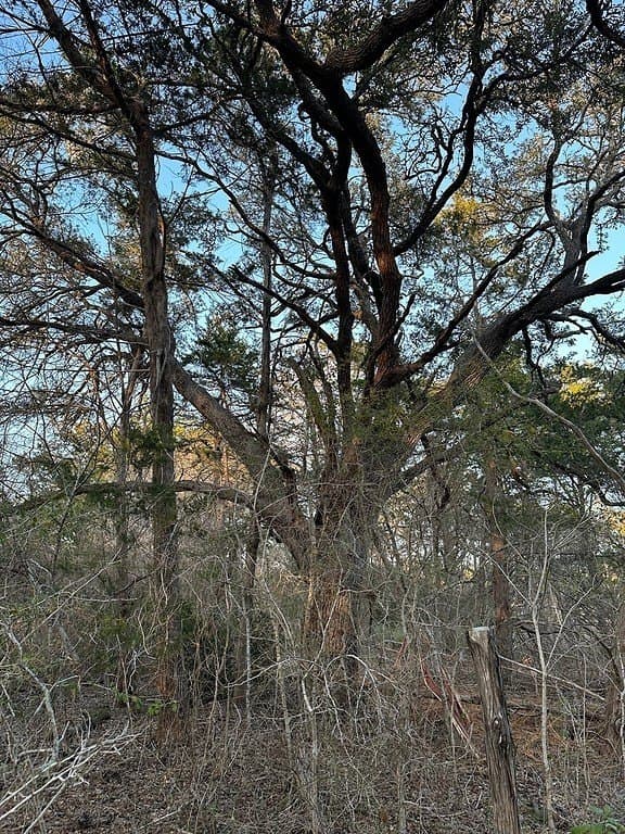 3.1 acres in Fayette County - photo 12