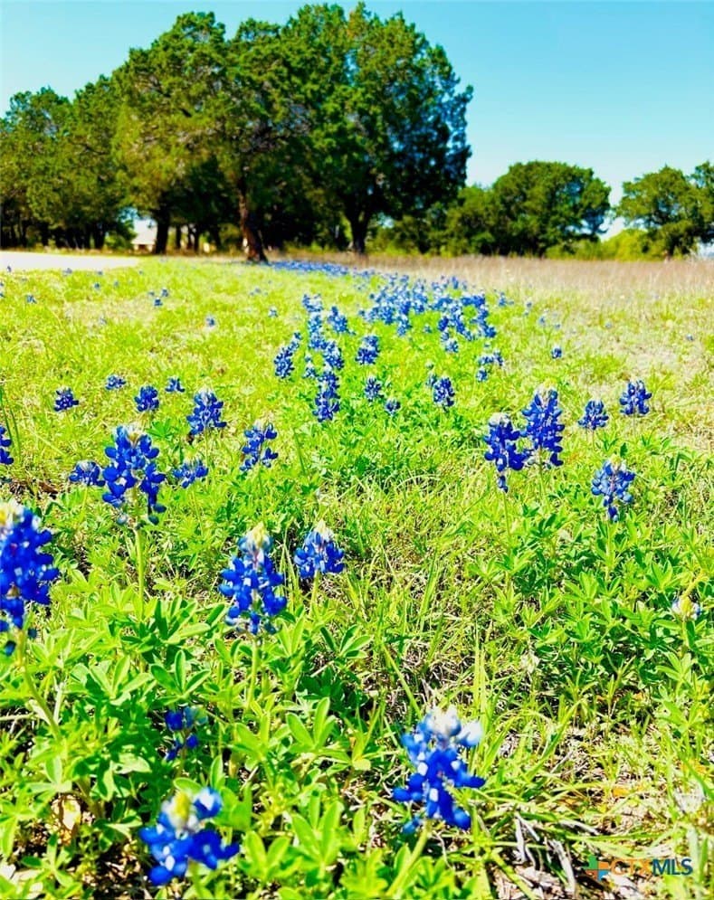 57.55 acres in Coryell County - photo 36