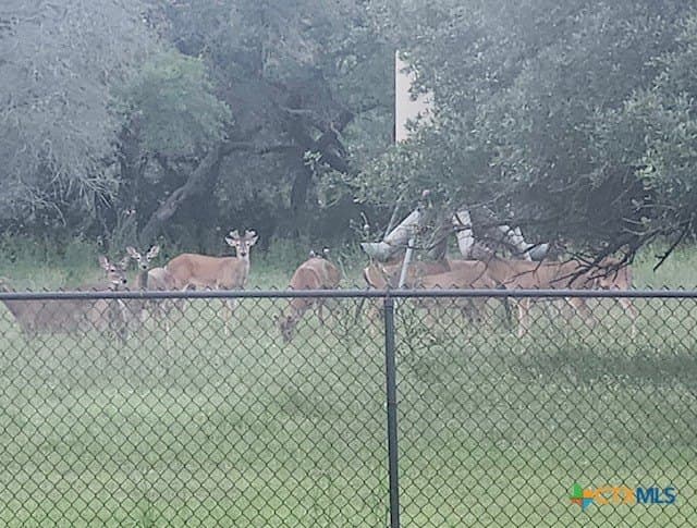 57.55 acres in Coryell County - photo 42