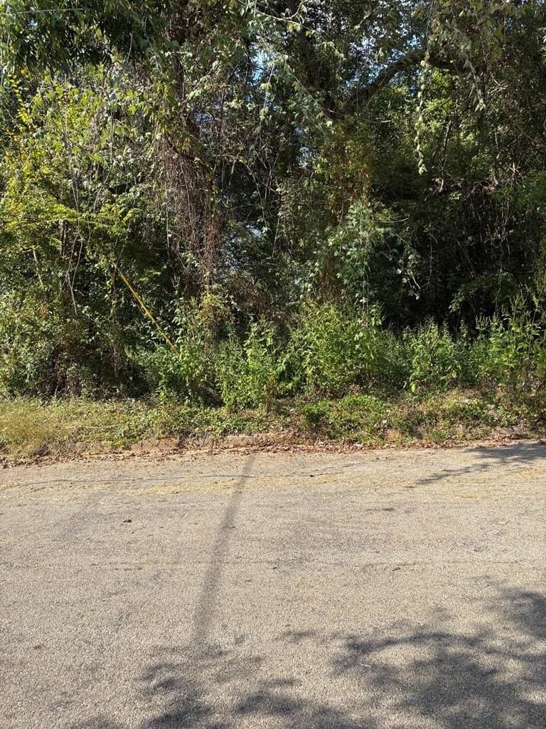 0.17 acres in ANDERSON County - photo 2
