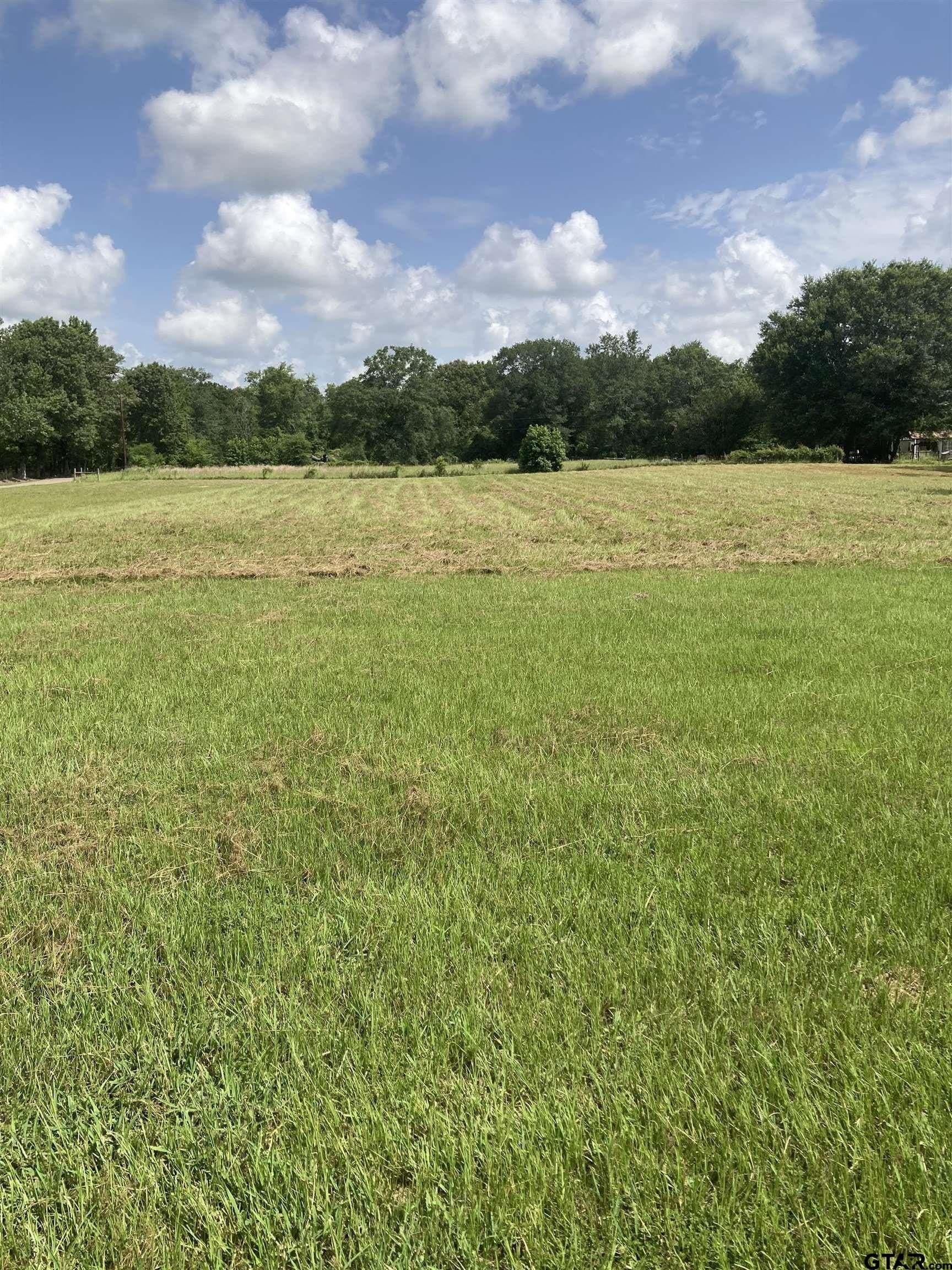 1 acres in Smith County - photo 8
