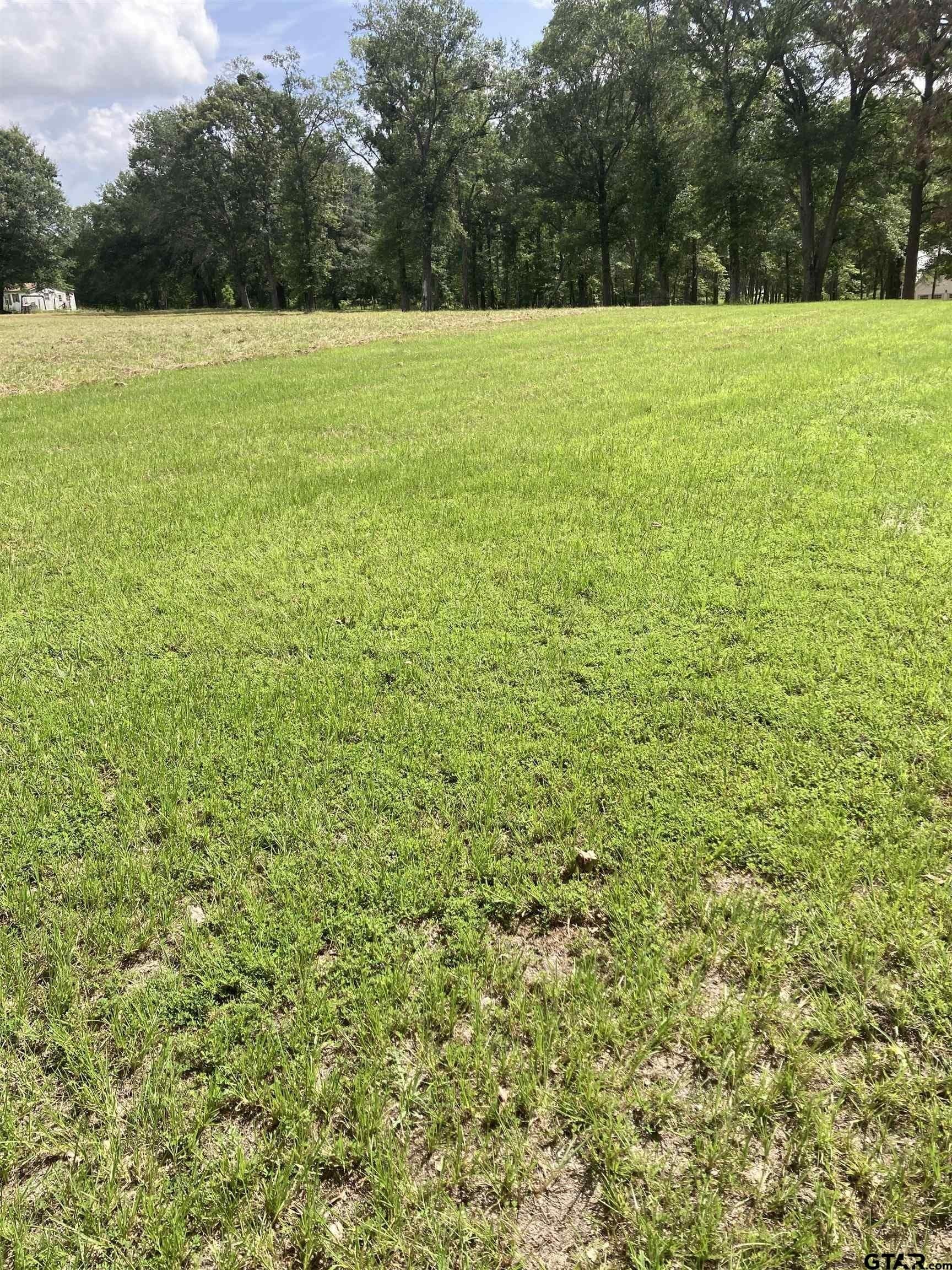 1 acres in Smith County - photo 4