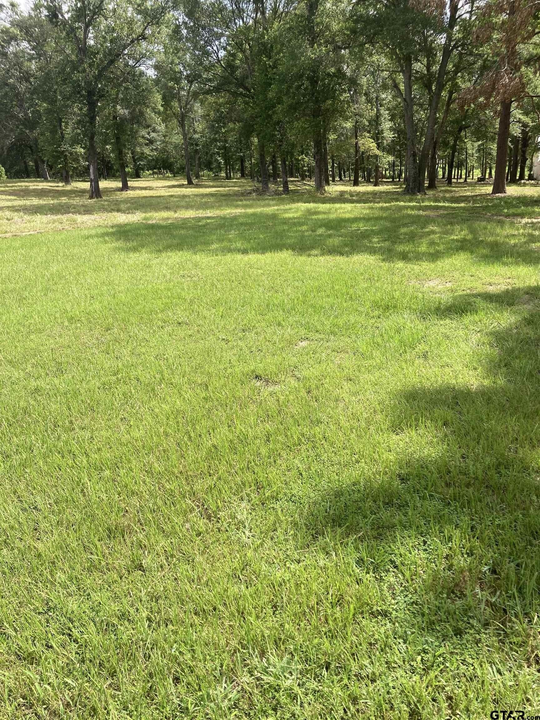 1 acres in Smith County - photo 7