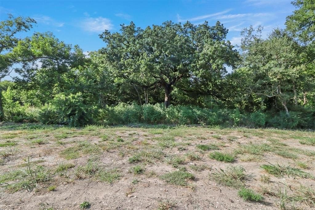 0.42 acres in Grayson County - photo 3