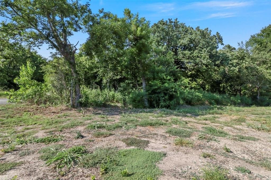 0.42 acres in Grayson County - photo 6