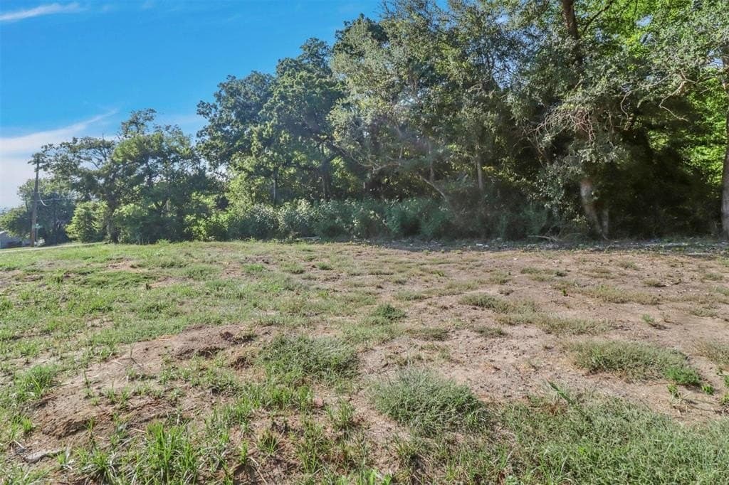0.42 acres in Grayson County - photo 2