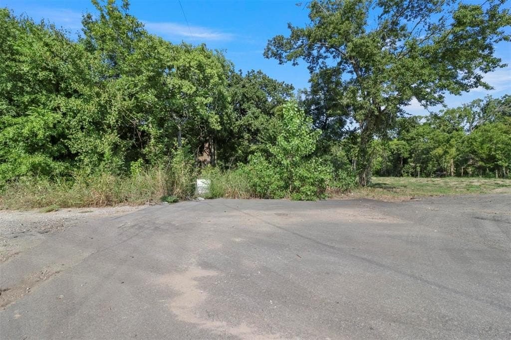 0.42 acres in Grayson County - photo 7