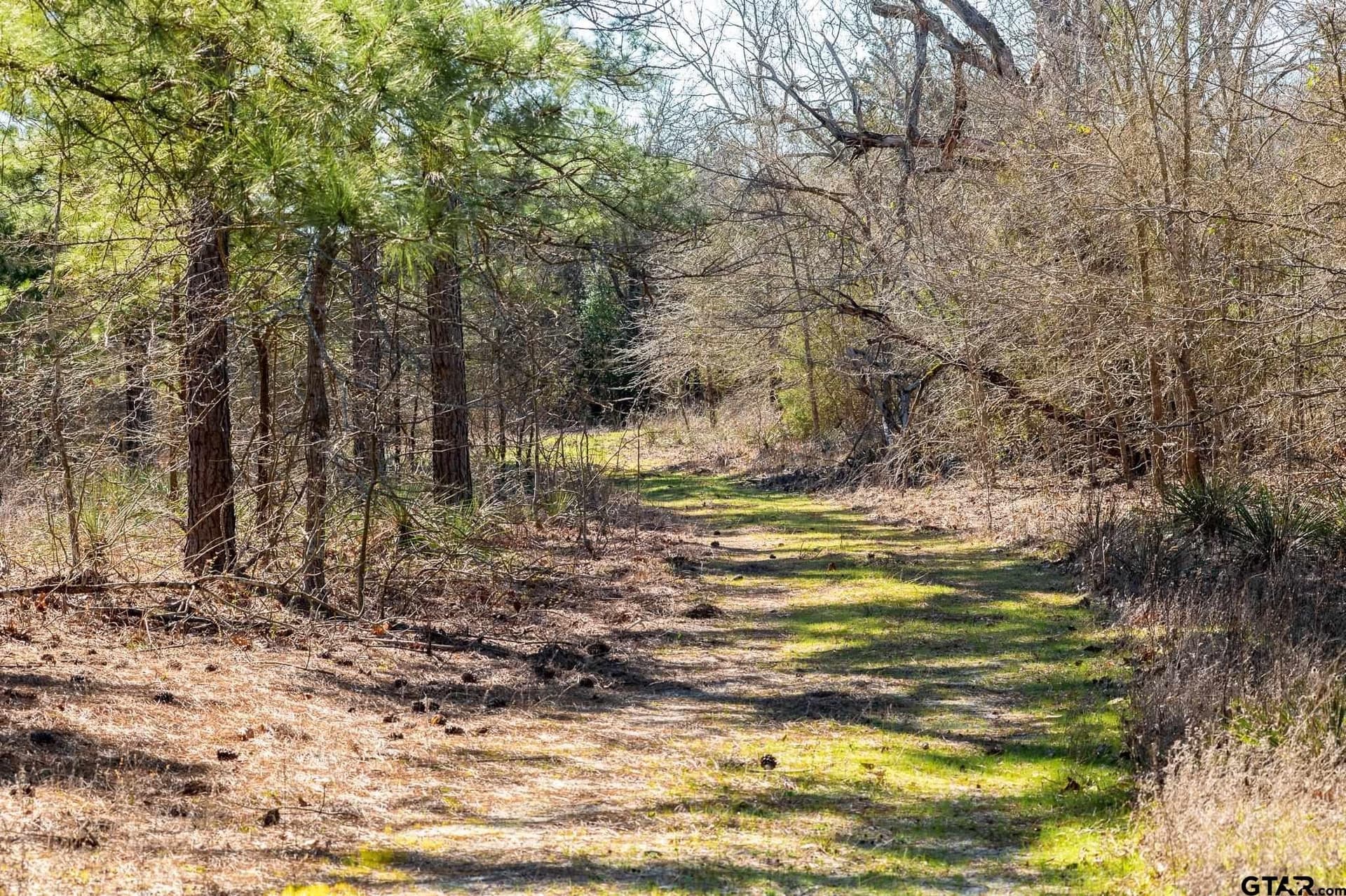 470.4 acres in Van Zandt County - photo 9
