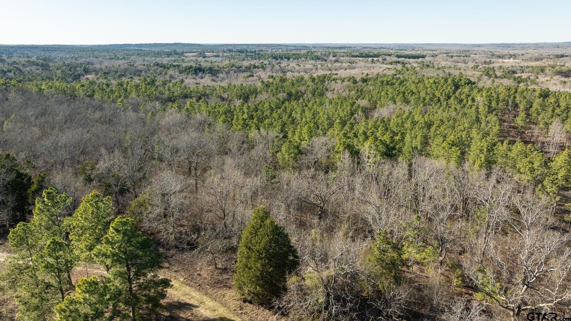 470.4 acres in Van Zandt County - photo 21