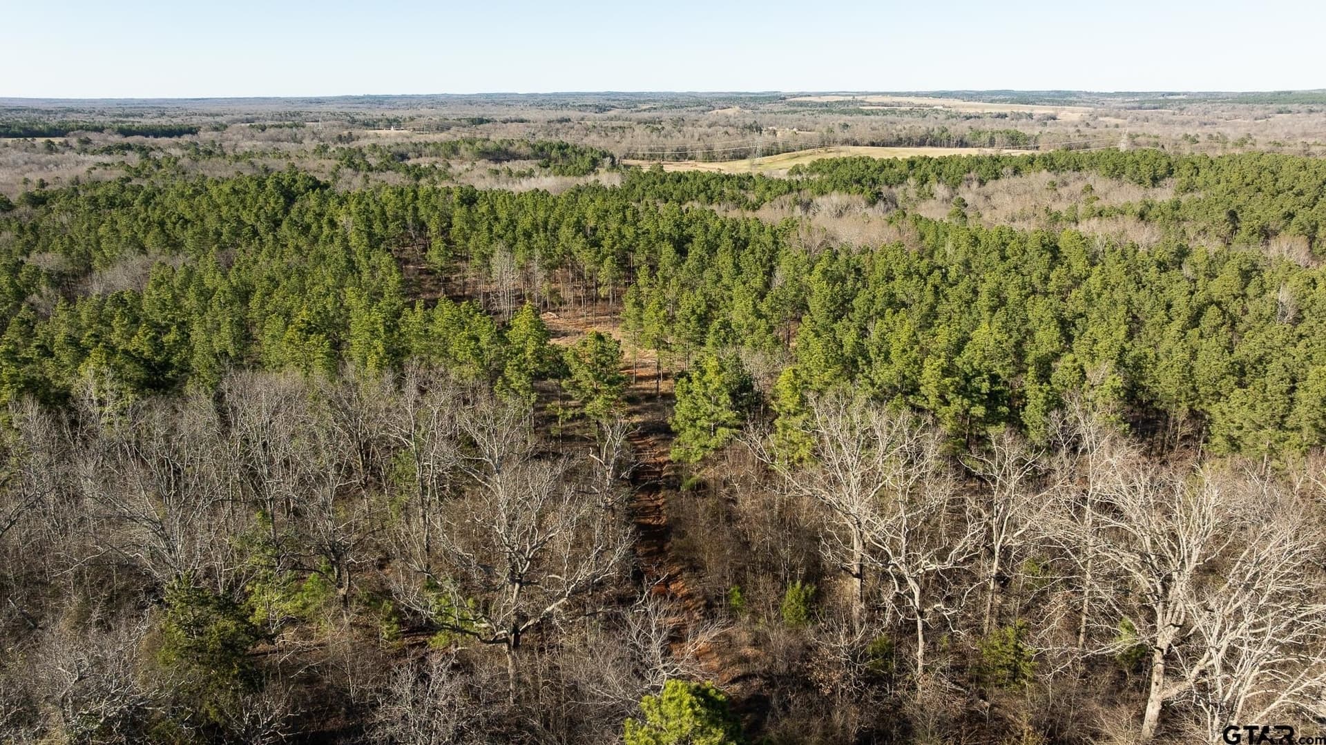 470.4 acres in Van Zandt County - photo 20