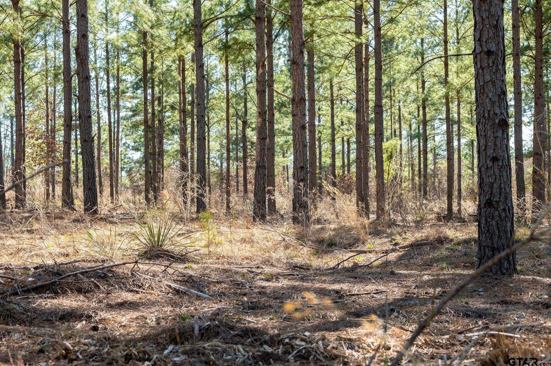 470.4 acres in Van Zandt County - photo 12