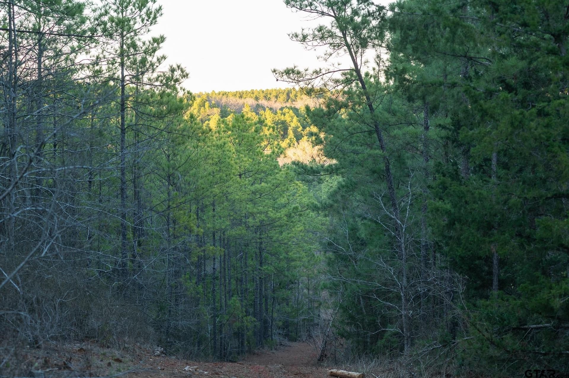 470.4 acres in Van Zandt County - photo 2