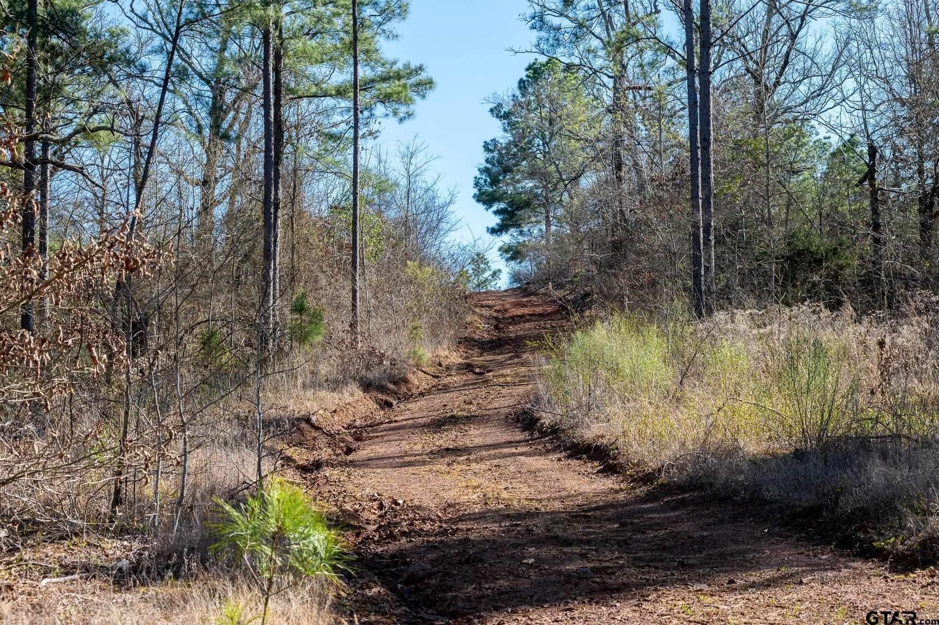 470.4 acres in Van Zandt County - photo 8