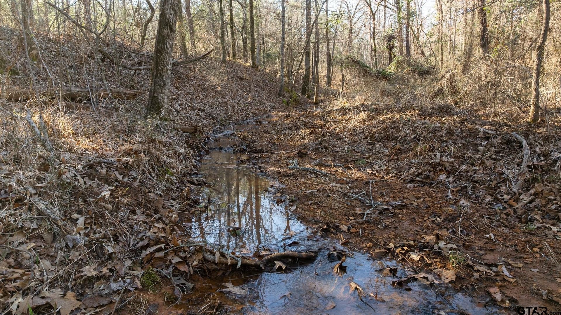 470.4 acres in Van Zandt County - photo 19