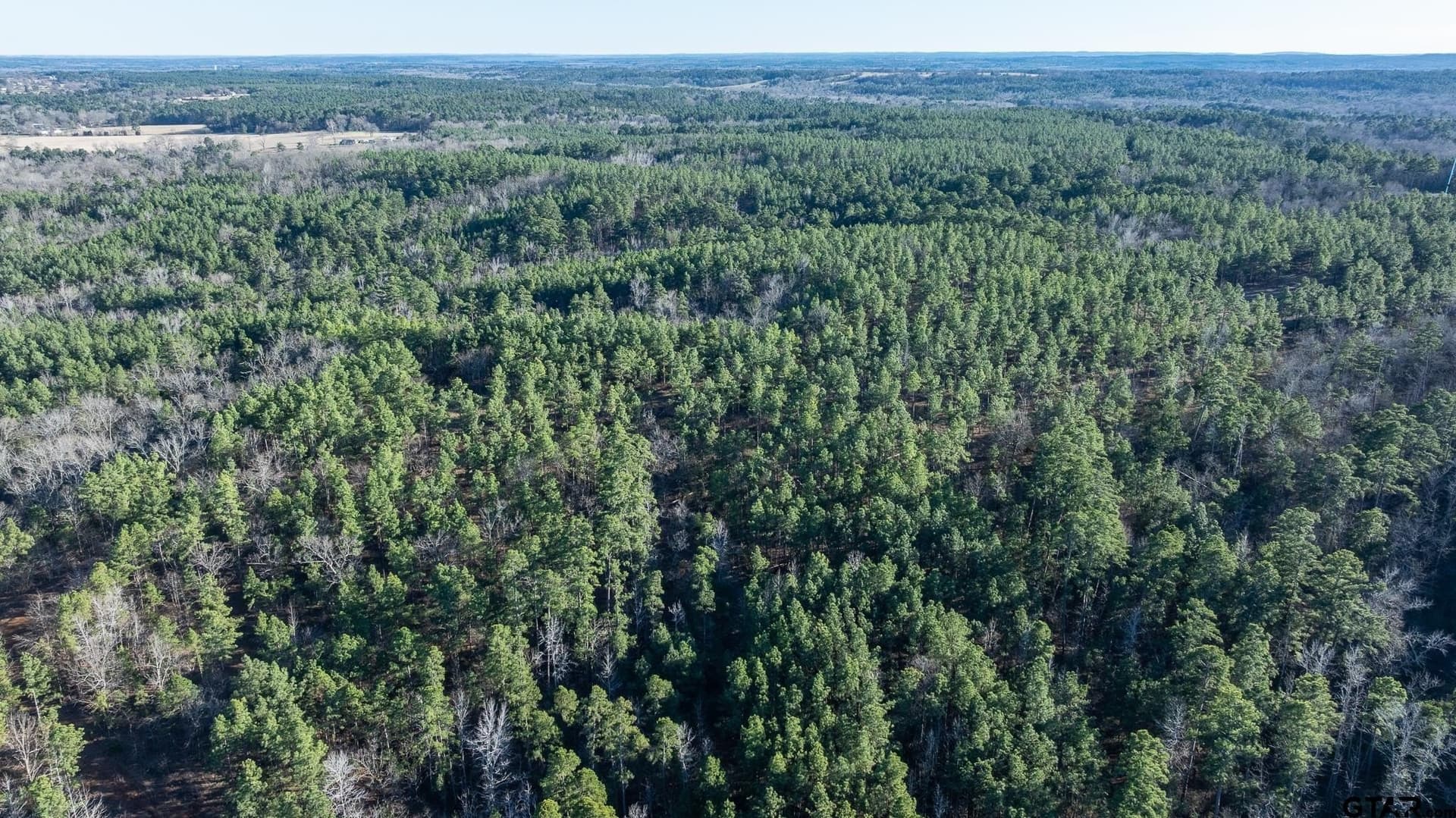 470.4 acres in Van Zandt County - photo 24