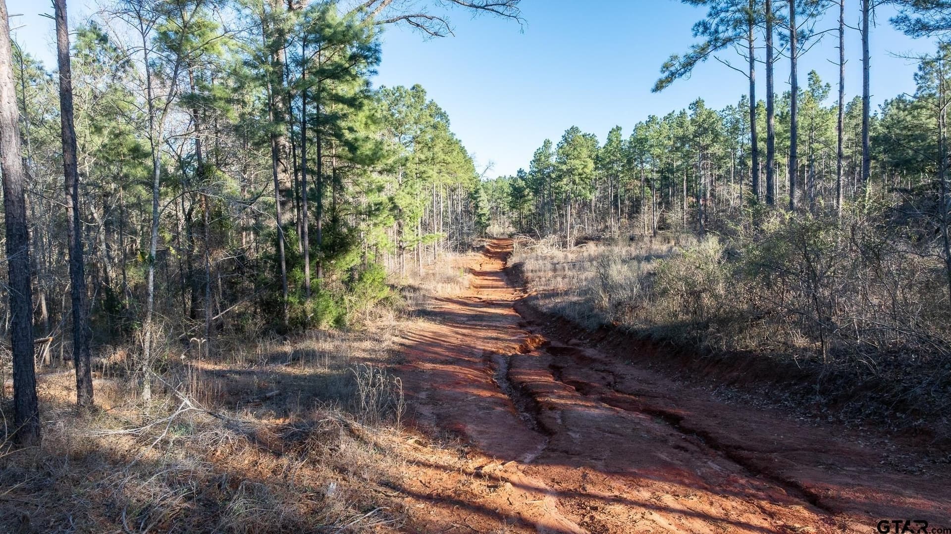 470.4 acres in Van Zandt County - photo 29