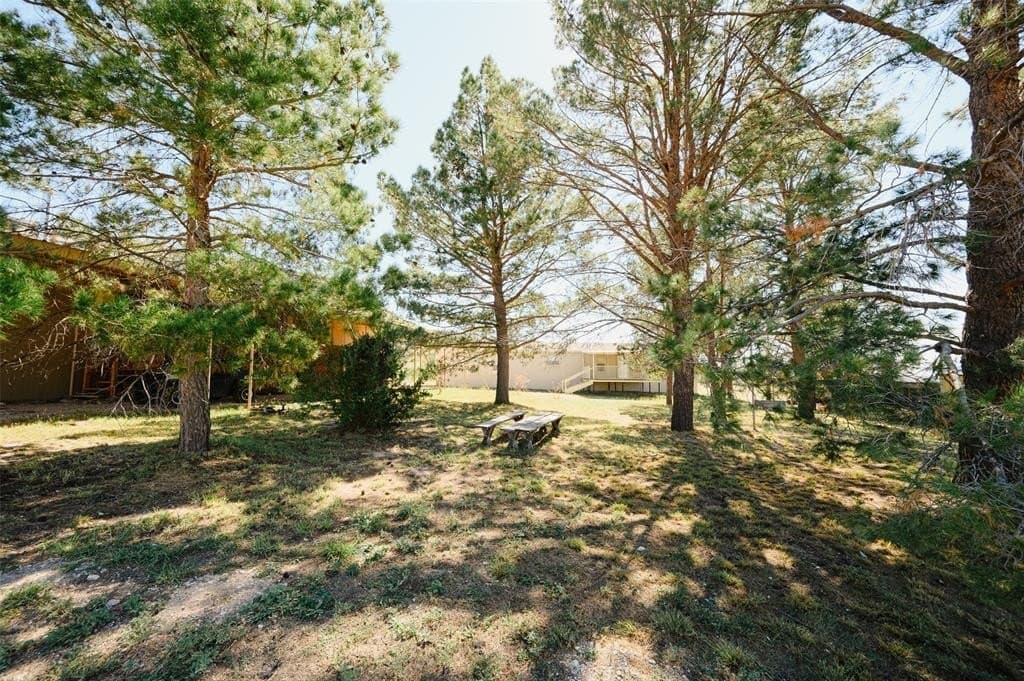 2,699.31 acres in Terrell County - photo 31