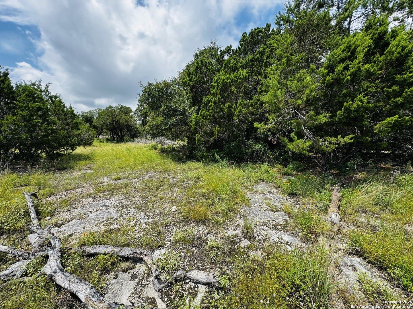 4.08 acres in Medina County - photo 3