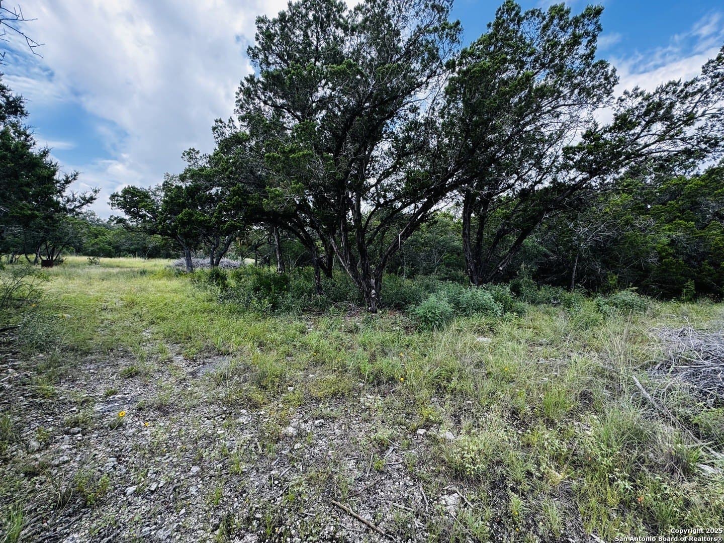 4.08 acres in Medina County - photo 5
