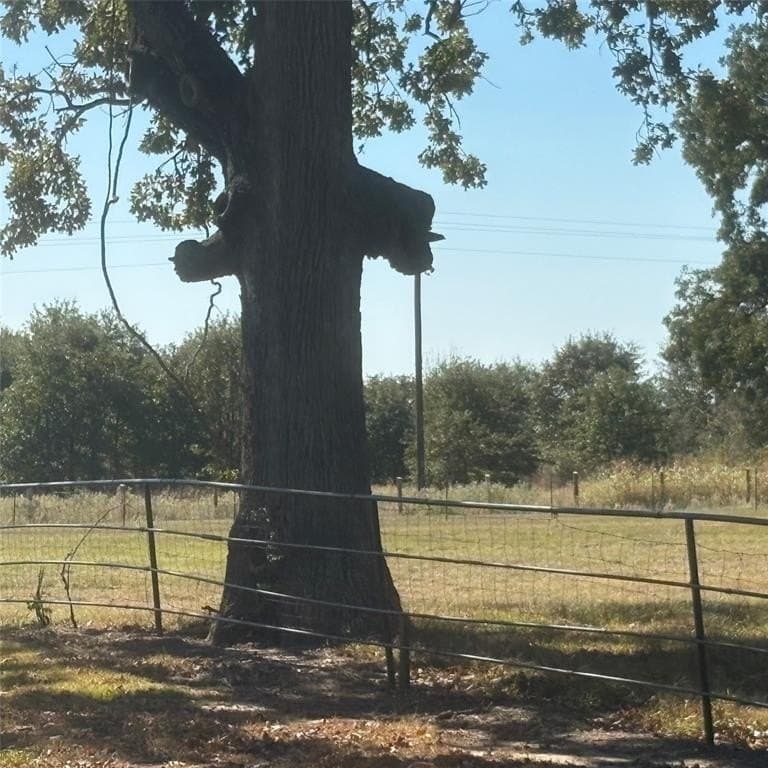 10.68 acres in Wood County - photo 17