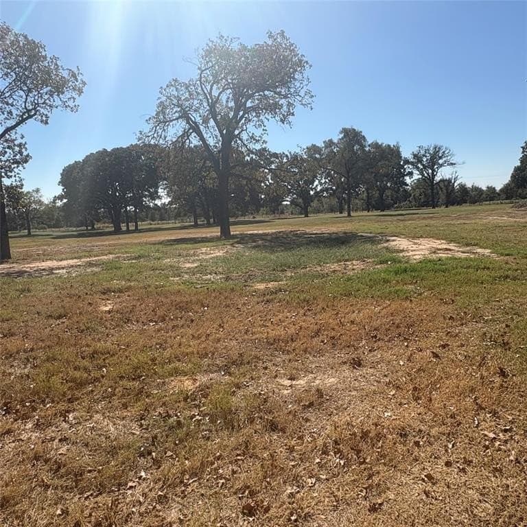 10.68 acres in Wood County - photo 28